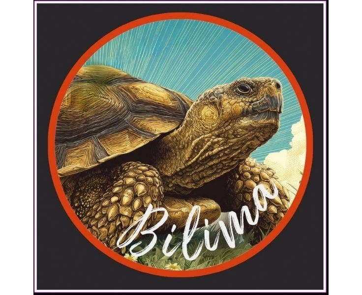 Bilima - Early Intervention