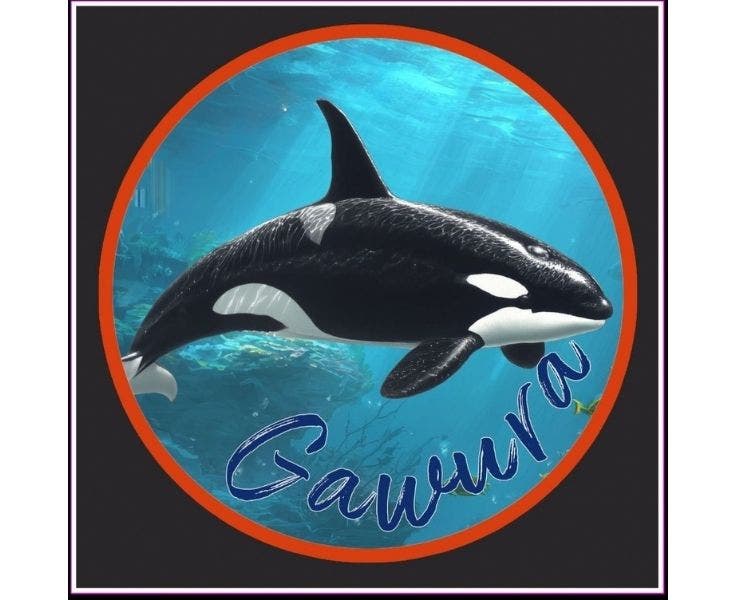Gawura - Year 5 & Year 6